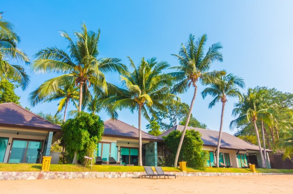 Modern beachfront villas shaded by tall palms