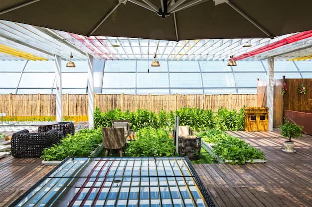 Enclosed garden with indoor and outdoor living areas